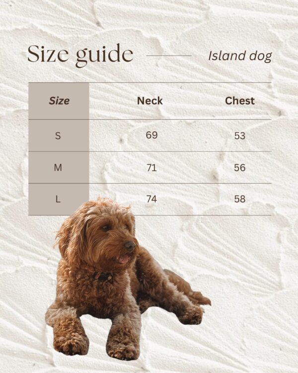 or-own-dog-wear-.jpg