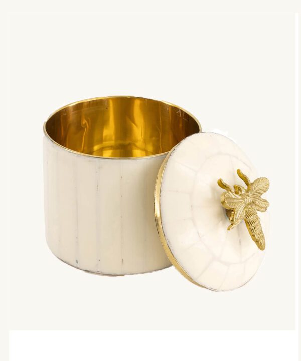 queen-bee-circus-box-doing-goods-1-20-21-014-002-4-01-off-white-web-2.jpg