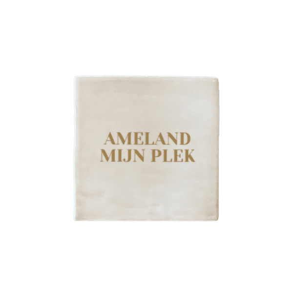 Tegel Ameland mijn plek - beige